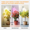 Vsoke Grow Light Indoor Plants,20wFull Spectrum Lamp,HeightAdjustable Stand