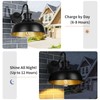 Diyel Solar Barn Light for Outside, Gooseneck Outdoor Wall Lights