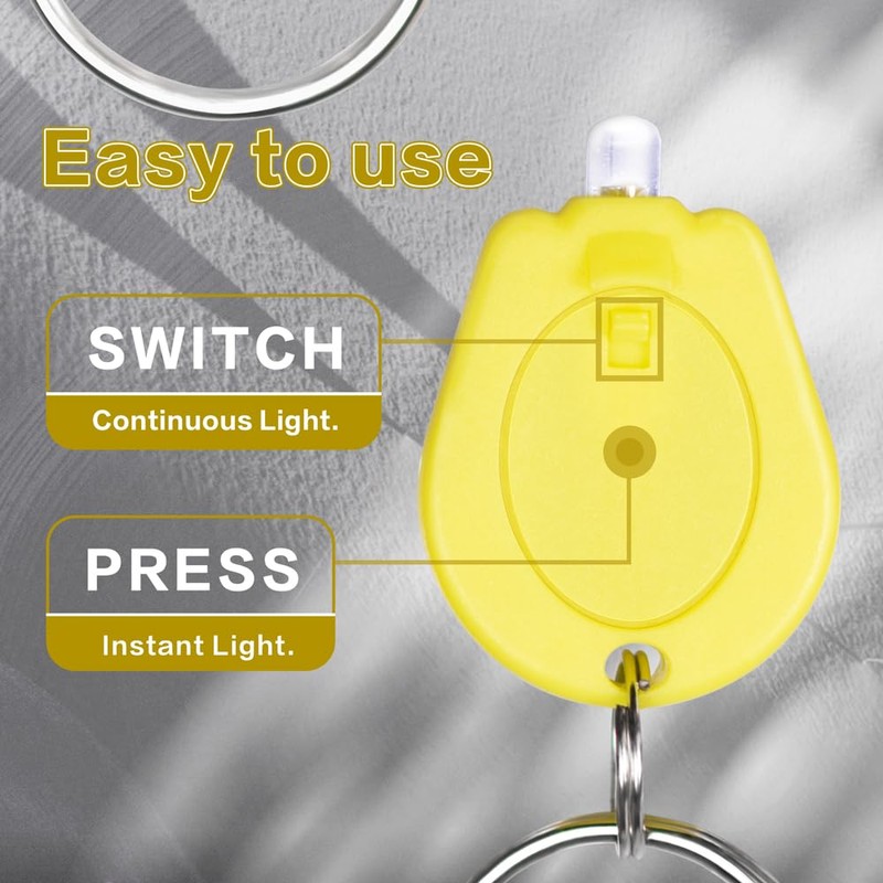 RaySoar 10 Pack Ultra Bright Mini LED Keychain Flashlight, Small