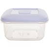 Whitefurze 2.3L Square Food Storage Box with Lid F0660