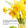 Brother Easter Card - Medium Sized Card (A5 Size -148mm