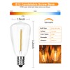 SUNSGNE 25Pack LED String Light Bulbs, ST38 Shatterproof Replacement Bulbs