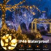 FairyGlim 100 LED Christmas String Lights, 33 FT Connectable Waterproof