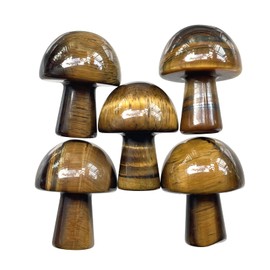 Ladeukoi 5Pcs Mini Mushroom Shaped Gemstone Statue Figurine, Carved Crystal Stone Mushrooms Crafts for Healing Chakra Reiki Balancing Home Decoration, Tiger's Eye Stone