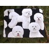 Bichon Frise zippered accessory bag, The Scooter