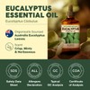 KUKKA essential oils Rosemary Oil for Hair & Eucalyptus Essential