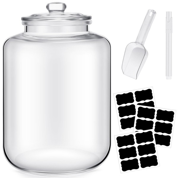 Yaomiao 6 Gallon Glass Jar with Lid Large Cookie Jar