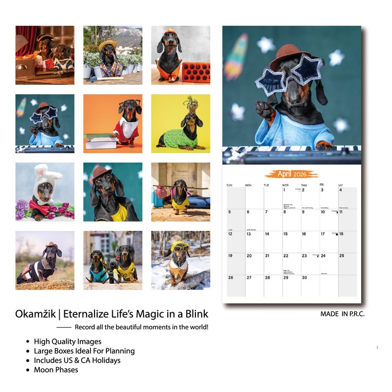 Wall Calendar 2026 Planner Calendar - Fashionable Fun Dachshund Hangable