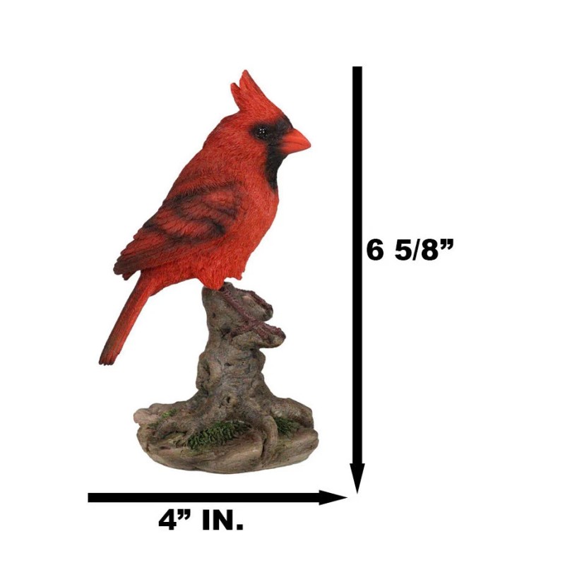 Wild Northern Red Cardinal Bird Perching on Tree Stump Spring