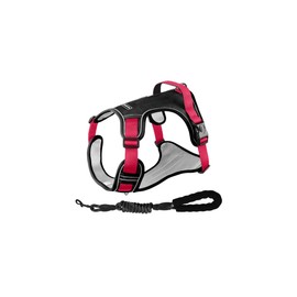 Pechera Arnés Con Correa Para Perro Chico Mediano Y Grande