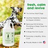 Shiny Paw Dog Shampoo Itchy Skin Relief 128 oz |