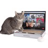 ScratchPad Pro — Cardboard Laptop Cat Scratcher, Interactive Cat Toys