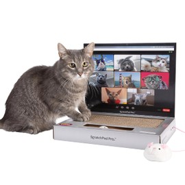 ScratchPad Pro — Cardboard Laptop Cat Scratcher, Interactive Cat Toys for Indoor Cats, Kitten Supplies and Cat Stuff by Relatable
