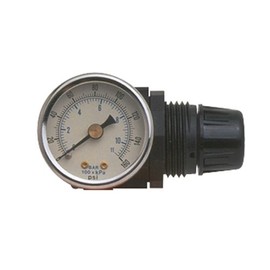 Motor Guard RG4049 1/4 NPT Spray Gun Regulator
