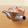 Stylish Stainless Steel Teapot with Tea Strainer, Made in Japan,