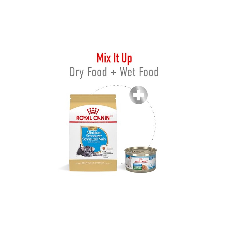 ROYAL CANIN, Puppy - Mini Schnauzer, Croquetas Perro, 1.1kg