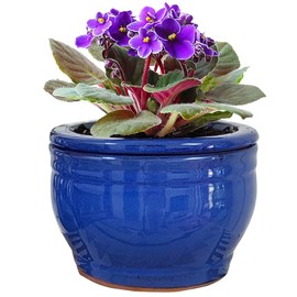 Dphagesy African Violet Pots Self Watering 6 inch Round Ceramic Violet Pot Blue