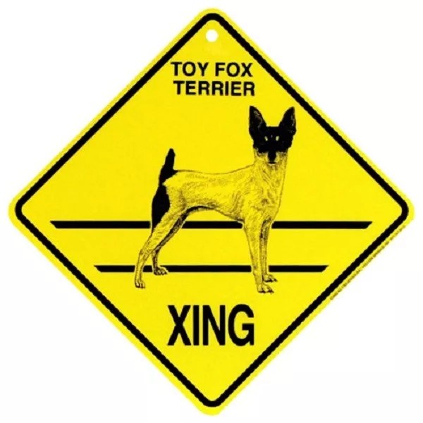 Toy Fox Terrier Dog Crossing Xing Sign New 14 3/8