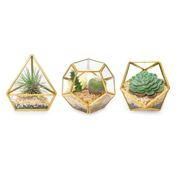 Mkono 4 Inches Mini Glass Geometric Terrarium Container Set of 3 Modern Tabletop Planter Shelves Decor Display Centerpiece for Succulent Miniature Fairy Garden Air Plant, Gold (Plant Not Included)