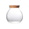 Small Betta Fish Tank Glass Fish Bowls for Betta Fish