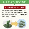 オーガニック 野菜 サプリ 無添加 いづものモロヘイヤ100 (450粒入)約30日分 マルチビタミン 野菜不足 食物繊維 腸活