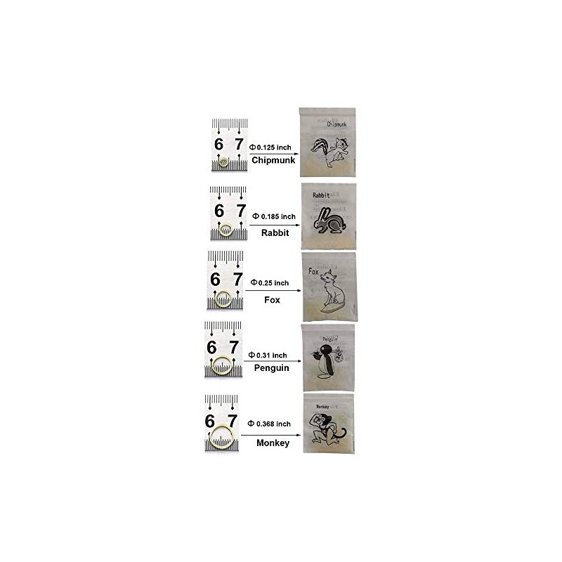 Bandas de goma ortodoncia dental ortodoncia elástica suministro ortodoncia (1/8",