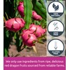 KAMVIVA Vietnam's Freeze Dried Dragon Fruit, 227g/8.0 Oz, 100% Natural,