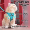 Cat Harness and Leash Set, Cat Harness with Lead, Cat