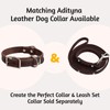 ADITYNA - Premium Leather Dog Leash - 6 ft, Heavy-Duty,