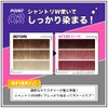 YUCHAG Color Shampoo Treatment Set (Pink Treatment)