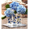 Vase Pearlfection 2 Transparent Water Gels Kits - Fills 2