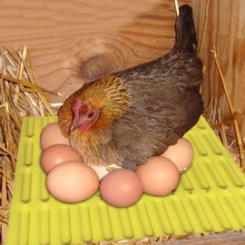 Nesting Box Liners,Non-Slip Chicken Nesting Pads - Reusable Laying Mat, Breathable Animal Bedding Accessories for Egg Production