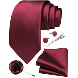Ailisus Wine Red Ties for Men Silk Satin Necktie and Pocket Square Cufflinks Tie Clip Lapel Pin Set Wedding Business 5PCS