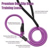 Strong Slip Rope Dog Training Leash (5ft) - Heavy Duty