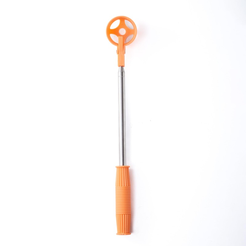 Egg Grabber for Chicken Eggs – Extendable Stainless Steel Egg