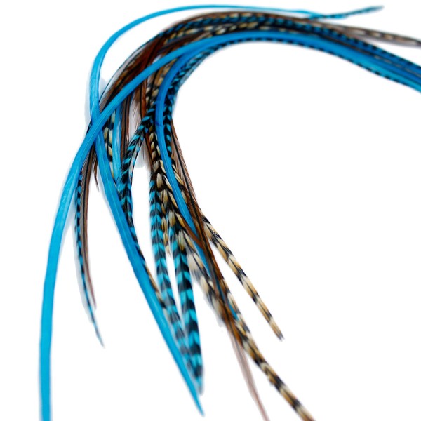 Real Feather Hair Extensions - Aqua Auburn (5 Feathers)