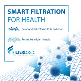 Filterlogic 3US-PF01 Under Sink Water Filter, Replacement for Advanced 3US-PF01, 3US-MAX-F01H, 3US-PF01H, Delta RP78702, Manitowoc K-00337, K-00338 (Pack of 1)