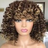 Short Curly Afro Wigs for Black Women Curly Wig with