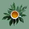 Okinawa Lemon Loose Leaf Flavored Green Tea, The First Sip