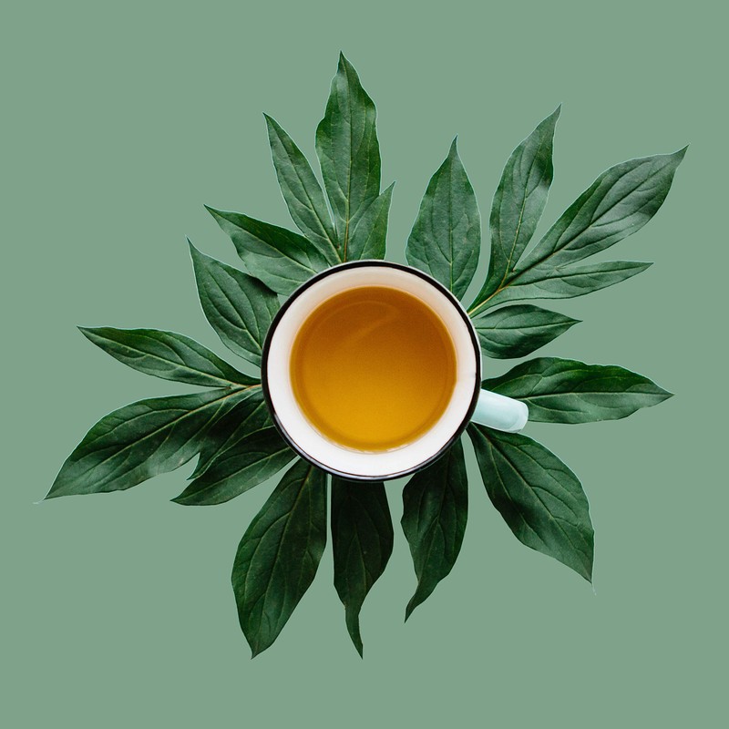 Okinawa Lemon Loose Leaf Flavored Green Tea, The First Sip