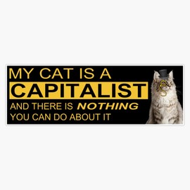 Leyland Designs My Cat is A Capitalist Sticker Outdoor Rated Vinyl Sticker Decal for Windows, Bumpers, Laptops or Crafts 5"