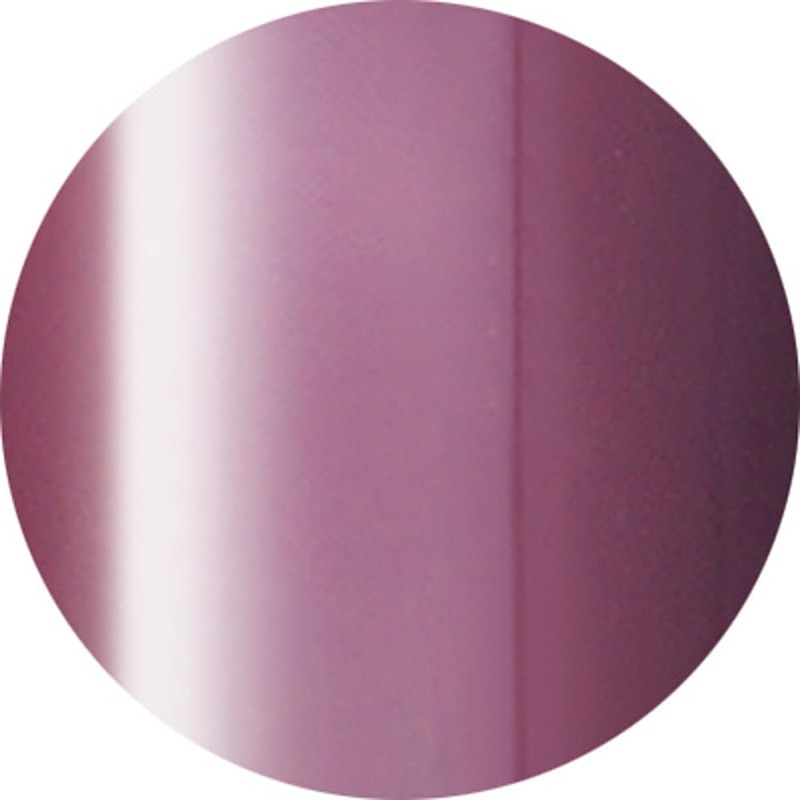 ageha Cosmetic Color 147 Dark Cherry Gel Nail Supplies