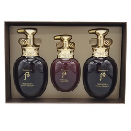 Who the Who Who Spa Hair 3-piece Special Set / 후 더후 후스파 헤어 3종 기획세트