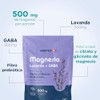 Citrato Magnesio Polvo GABA Lavanda Mora Azul Pack 2x150g