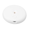 UV Cleaning Lamp USB Charging Safe Portable UVC Light Cleaner