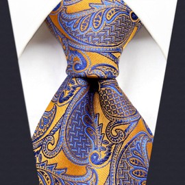 (sirrakusu and Wing) Shlax & Wing Golden General Dimensions Ties Men's Paisley Pattern Wedding Brand New -