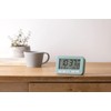 RHYTHM D234 8RZ234SR04 Alarm Clock, Radio Clock, Electronic Sound, Alarm