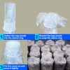 Biomed Solutions Mushroom Grow Bag Cap and Ring for Cultivating