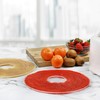 Nesco LSS-2-6 Snackmaster Fruit Roll Sheet for Nesco Food Dehydrators,