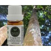 Nativilis Copaiba Balsam Organic Essential Oil 30ml / Nativilis 코파이바